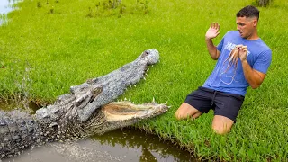 Crocodile ATTACKS While Saving Colorful Fish