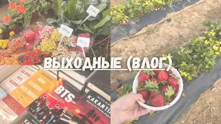 Выходные на Северном Кипре. Клубничная Ферма, Танцы, Спорт ❤️‍🔥