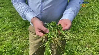 Joe Patton - Grassland Management