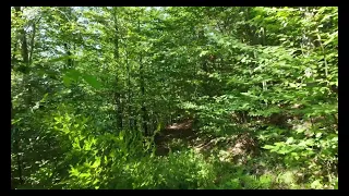 Vacant Land - Hunting Land 141 acres in Bradford County Pa.