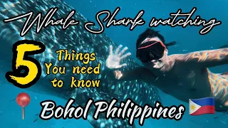 🐋 WHALE SHARK watching in Lila Bohol - WATCH THIS BEFORE GOING |Lost in Paradise Bohol🇵🇭