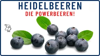 ✅WARUM DU TÄGLICH HEIDELBEEREN ESSEN SOLLTEST✅ 8 überraschende Wirkungen!