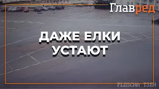 В Житомирской области новогодняя елка сломалась пополам с человеком на верхушке