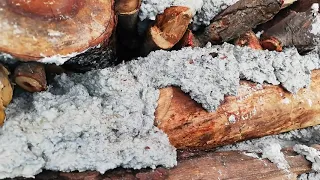 Extracción de oro de roca rica en teluros y sulfuros.
