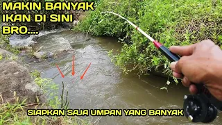 Mancing di Selokan Yang Selalu Banyak ikanya #LM33