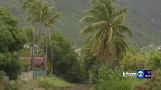 State recommends neighbors near Palolo Valley rockfall 'vacate' due to rain