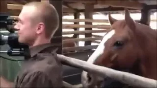 Horse nibbles on cameraman's ear during interview