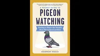 A Pocket Guide to Pigeon Watching Discussion with Rosemary Mosco