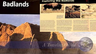 Badlands National Park ~ South Dakota June 2023