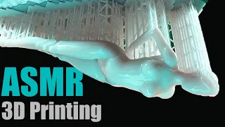 Resin 3D Printing Timelapse with ASMR Style - Atomic Heart - Twin Robot