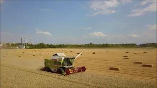 Weizen Dreschen mit Claas Dominator 108sl Maxi (Drohnenaufnahmen)
