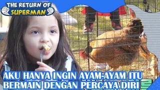 Aku Ingin Ayam Main Dengan Percaya Diri|The Return of Superman |SUB INDO|210523 Siaran KBS WORLD TV|