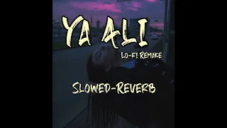 Ya Ali - Lo-fi Remake [ Slowed+Reverb ] Bass Drop | Gangster | Emraan Hashmi | Hk Vibes