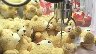 Claw Machina Japan Taiwan Live Stuffed Animals TED Movie