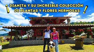 HERMOSAS PLANTAS Y FLORES DE DIANITA Y GERMAN, MAGICO Y SORPRENDENTE JARDIN DE EXHIBICIÓN | AP