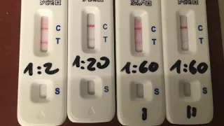 Sensitivität eines Covid-19 Antigen Tests - Wieso du 15 min auf ein korrektes Ergebnis warten musst