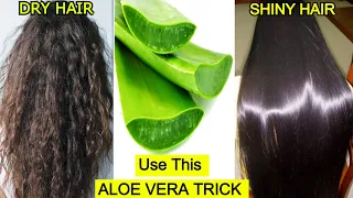 Use Aloe Vera This way To Turn Dry Hair To Shiny Hair Naturally- Aloe Vera Gel For Hair- Priya Malik
