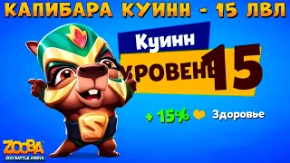 КАЧАЕМ КАПИБАРУ ЛУЧАДОРУ КУИННА НА 15 УРОВЕНЬ В ИГРЕ ZOOBA