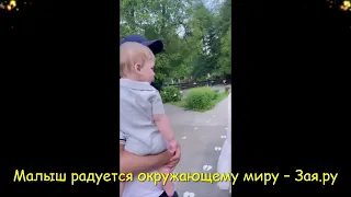 Лиза Арзамасова и Илья Авербух привели сына в зоопарк
