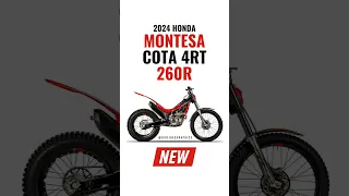 2024 Honda Montesa Cota 4RT 260R Revealed! 🔥