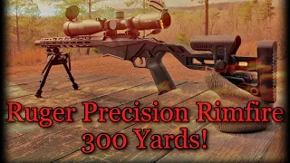 Ruger Precision Rimfire -Long Range- (300 Yards!)