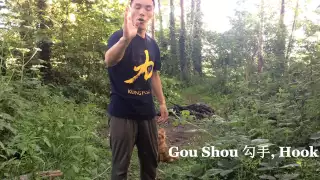 Wu Bu Quan 五步拳 (Five stances form) Part 3 Master Yan Xin