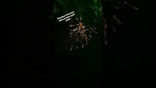 Phantom fireworks