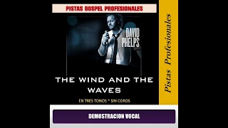 The Wind And The Waves - David Phelps