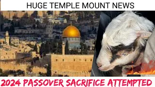 HUGE TEMPLE MOUNT NEWS: PASSOVER 2024 SACRIFICE WAS ATTEMPTED IN JERUSALEM - STORM AL AQSA 2024 ?