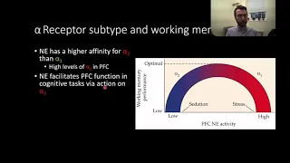 PSY305 CH5PT6: Norepinephrine Function