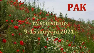 РАК Таро прогноз на неделю 9 - 15 АВГУСТА 2021 года