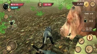 Wild Panther Sim 3D Android Gameplay #4