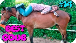 Coub Compilation 2015. #14 ★ BEST COUBS of December 2015. [ Самые смешные приколы в Coub ]