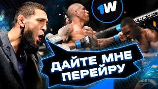 Хамзат Чимаев идет за Алексом Перейрой?! Расклады после UFC 281 | 1win