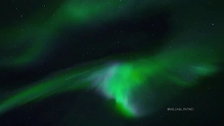 Real Time Northern Lights Aurora
