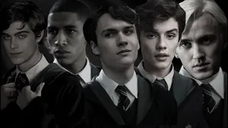 Slytherian boys react to Fy/n! •read description•