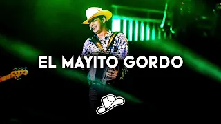 Panter Belico - El Mayito Gordo (Corridos 2023)