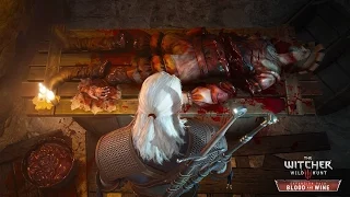The Witcher 3: Blood and Wine - Investigation - Unofficial Soundtrack