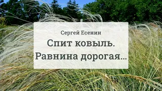 Спит ковыль. Равнина дорогая… - Сергей Есенин