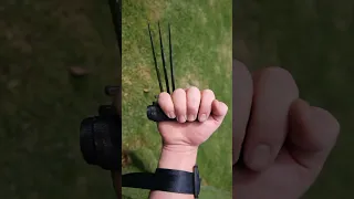 Real Wolverine Claws