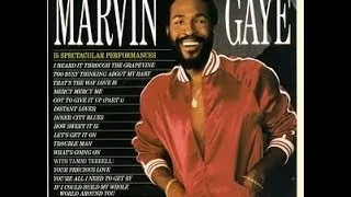 Marvin Gaye /   You're A Wonderful  One