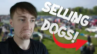 HUGE Chirk Car boot sale hunt!