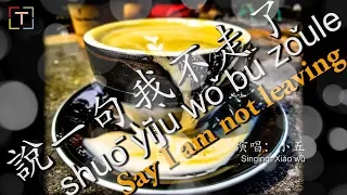 說一句我不走了 [shuō yījù wǒ bù zǒule] [Say I am not leaving] With PINYIN AND LYRICS