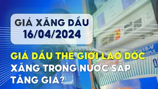 Giá Xăng Dầu Hôm Nay Ngày 16/04/2024 | Giá Dầu Thế Giới Đồng Loạt Trượt Dốc