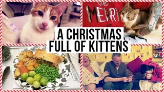 A CHRISTMAS FULL OF KITTENS • Christmas Eve & Day Vlog