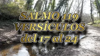 Salmo 119:17-24