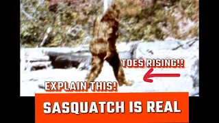 Close up of Patty’s Toes Rising from Patterson Gimlin Film #bigfoot #sasquatch #bigfootsighting