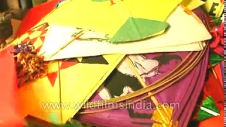 Kite shops at Lal Kuan, Delhi 6