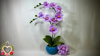 Cách làm hoa Lan Hồ Điệp bằng kẽm nhung - How to make a Phalaenopsis orchids flower ! #hms2