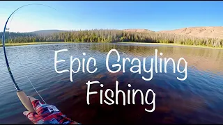 Amazing Grayling Fishing